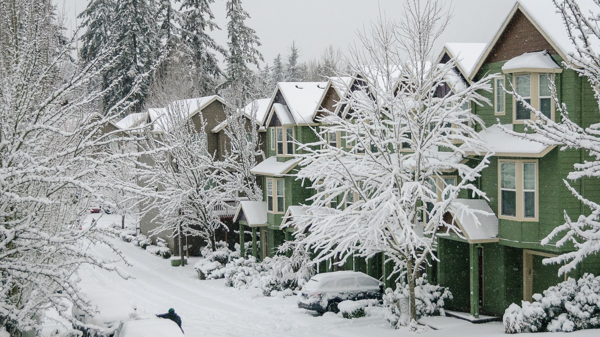 Our neighborhood after the snow