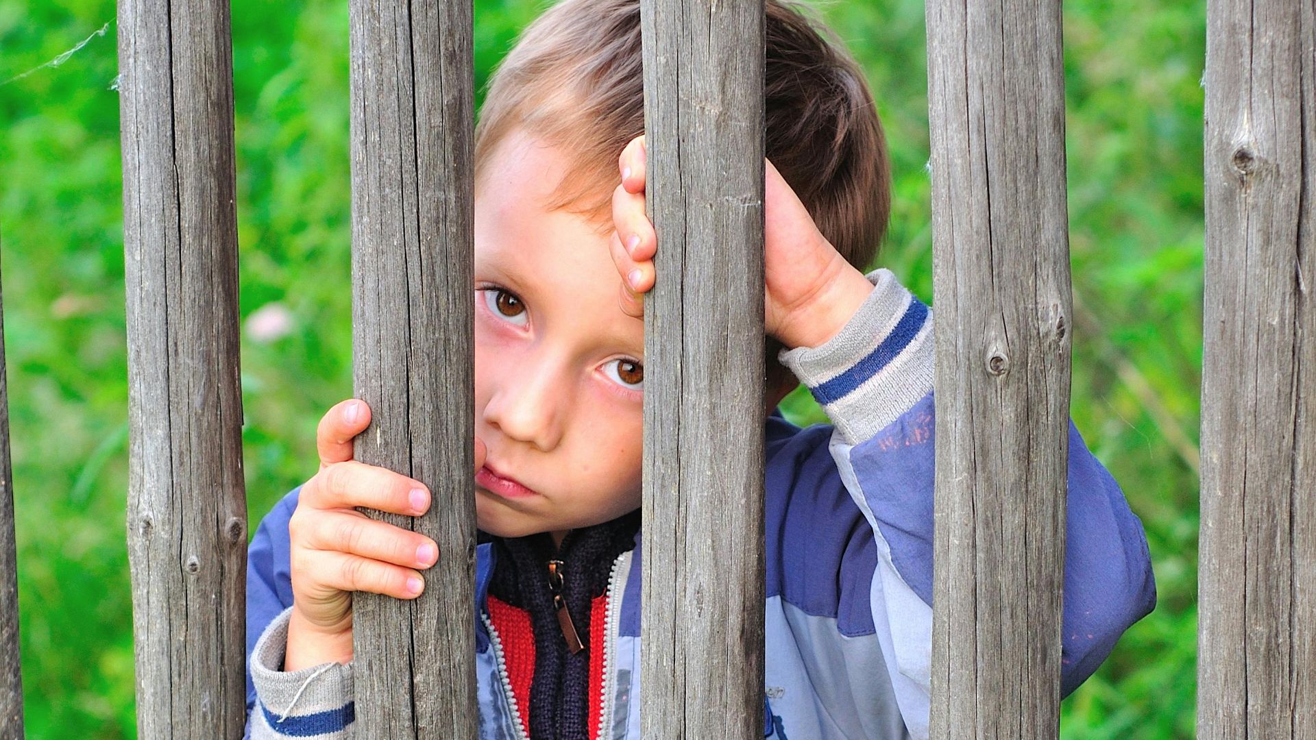 A young boy gazes thoughtfully through a rustic wooden fence in a lush outdoor setting.