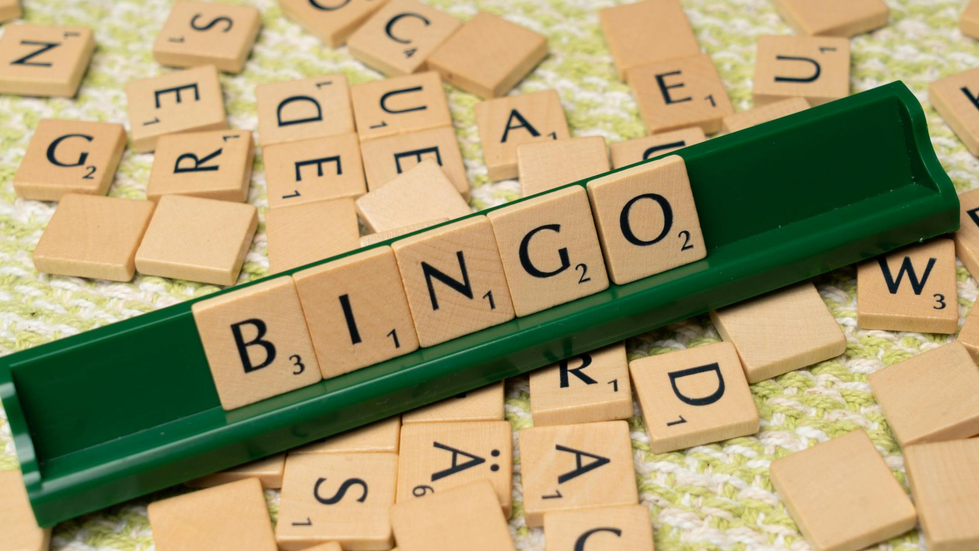 Wooden Scrabble tiles arranged to spell 'BINGO' on a green rack.