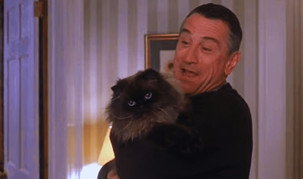  Screenshot from Meet the Parents (2000) 