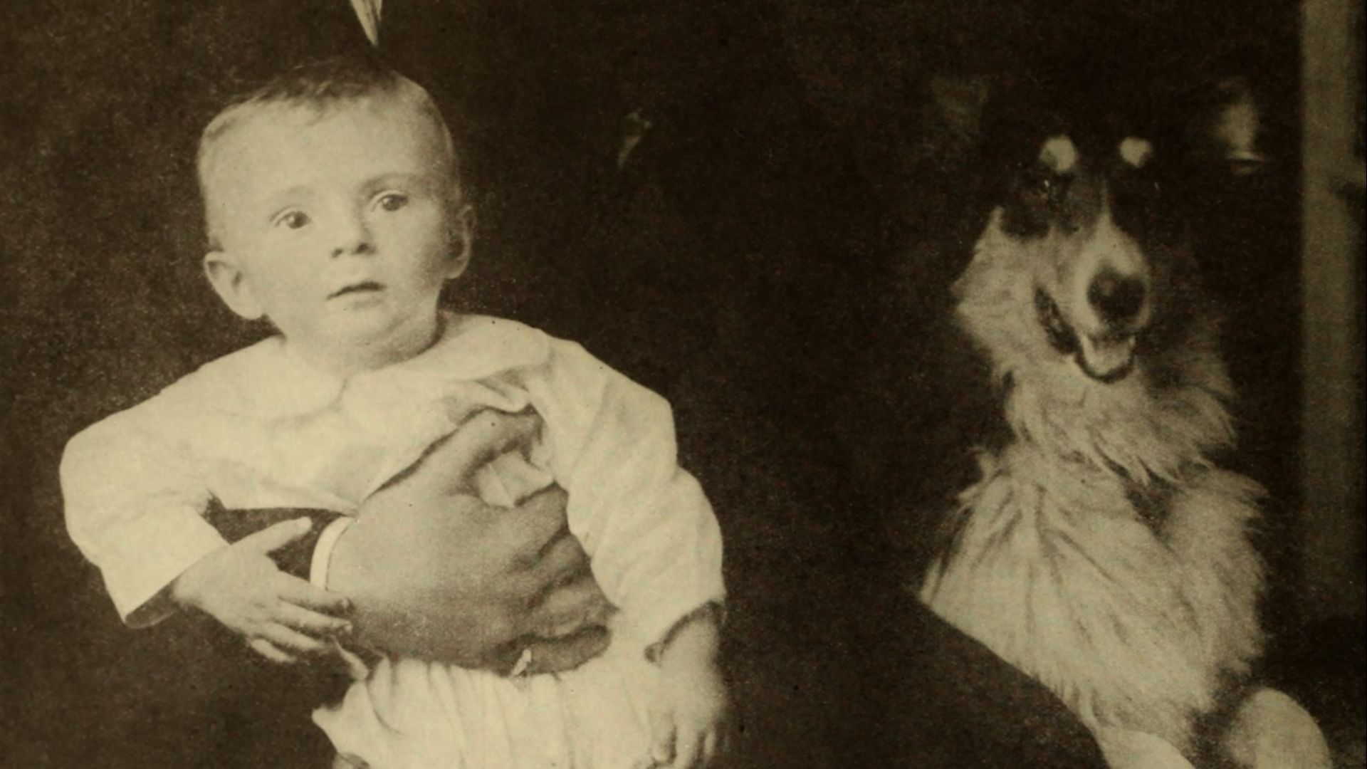 His dog's name is Doc. Photoplay, August 1919