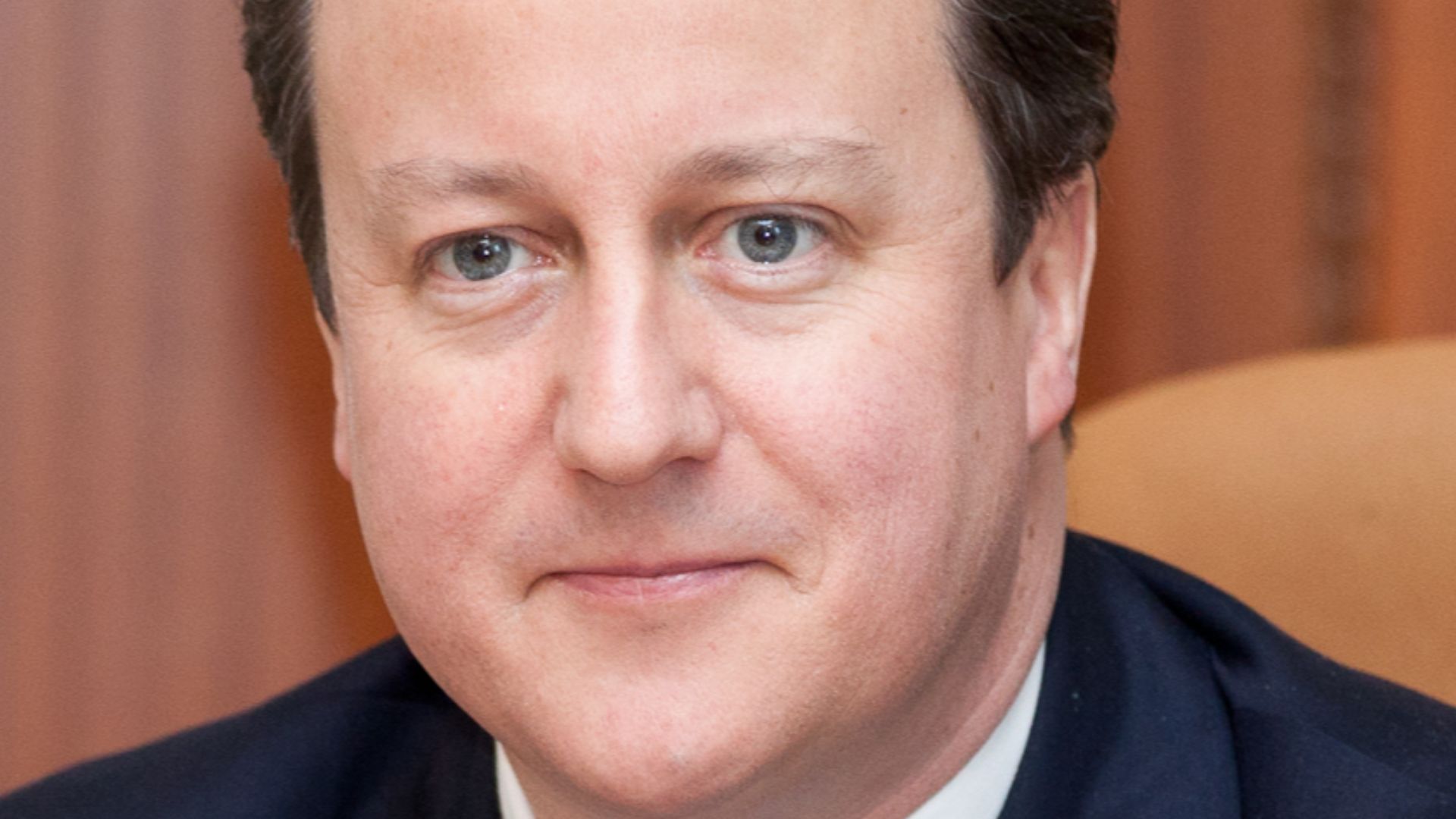 David Cameron portrait. Crop from original work.