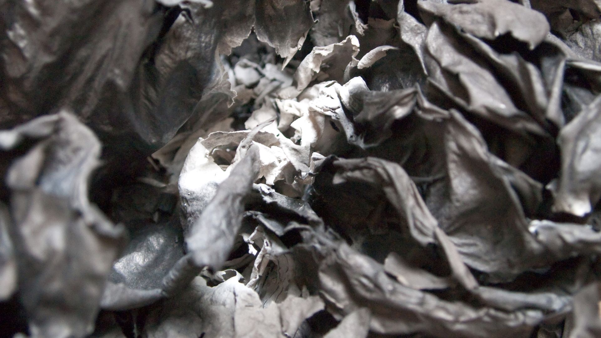 Paper ash. Burnt paper. Rostov-on-Don, Russia.