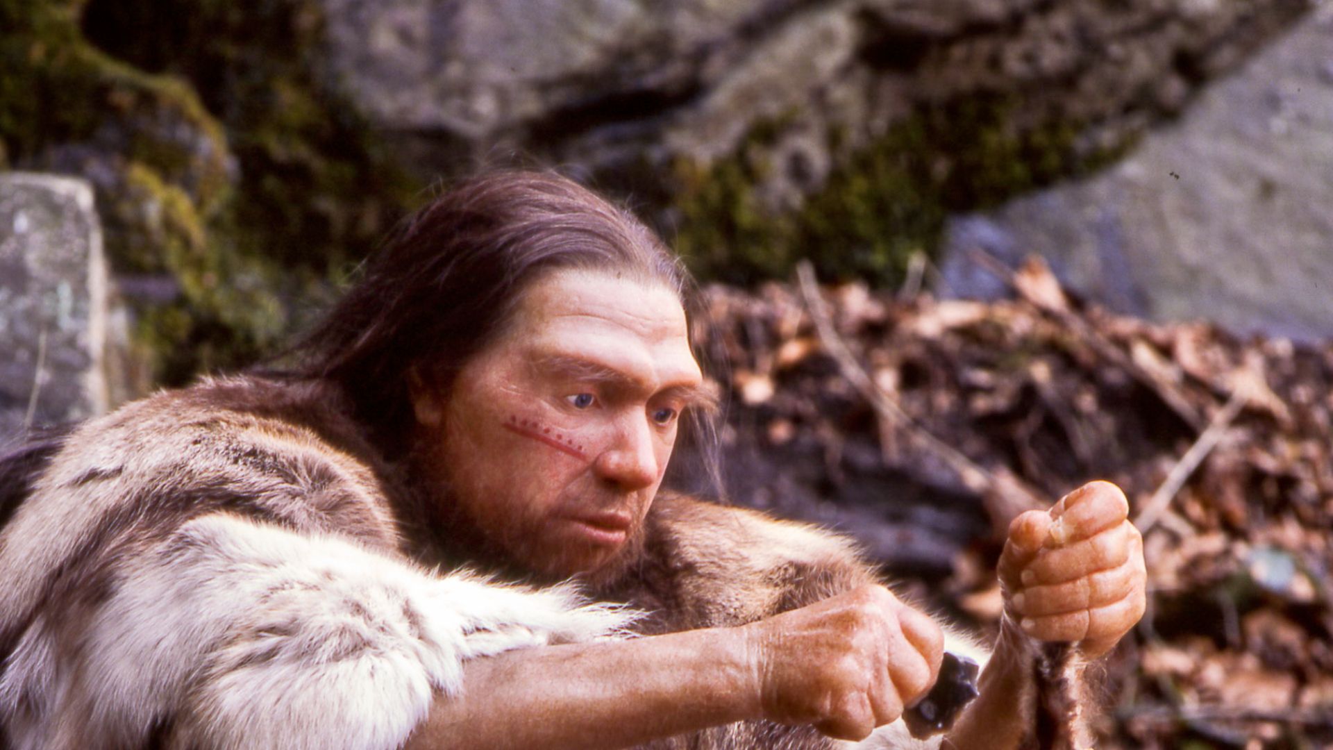 Lebend-Rekonstruktion im Neanderthal-Museum (Erkrath, Mettmann) eines Homo sapiens neanderthalensis-Jägers