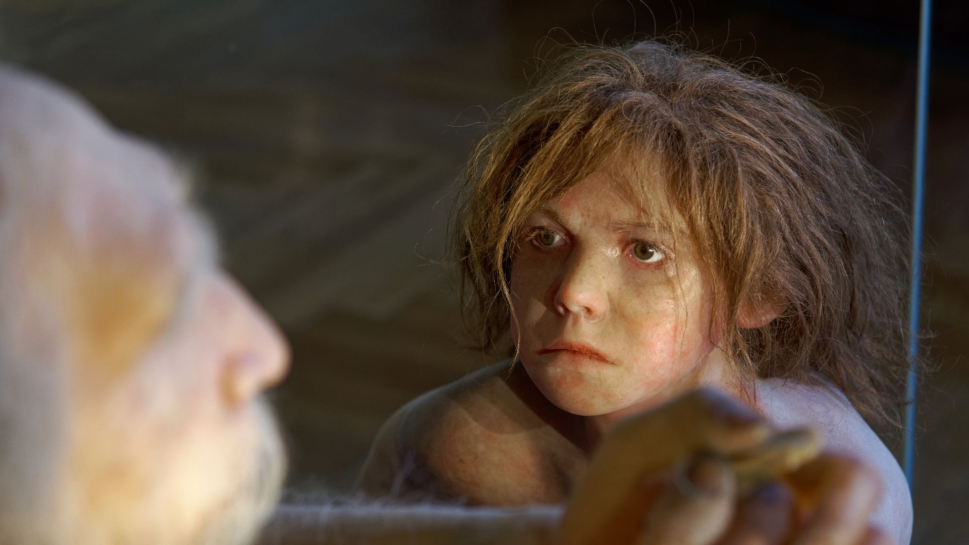 Model of Homo neanderthalensis child in The Natural History Museum, Vienna