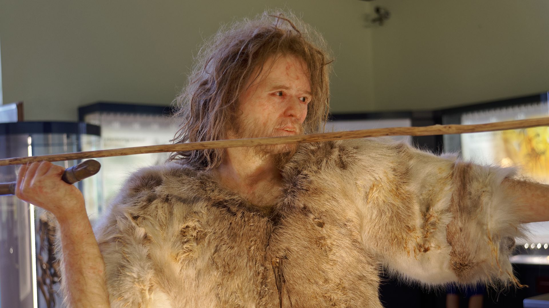 Model of Cro-Magnon 1, Homo Sapiens man in The Natural History Museum, Vienna