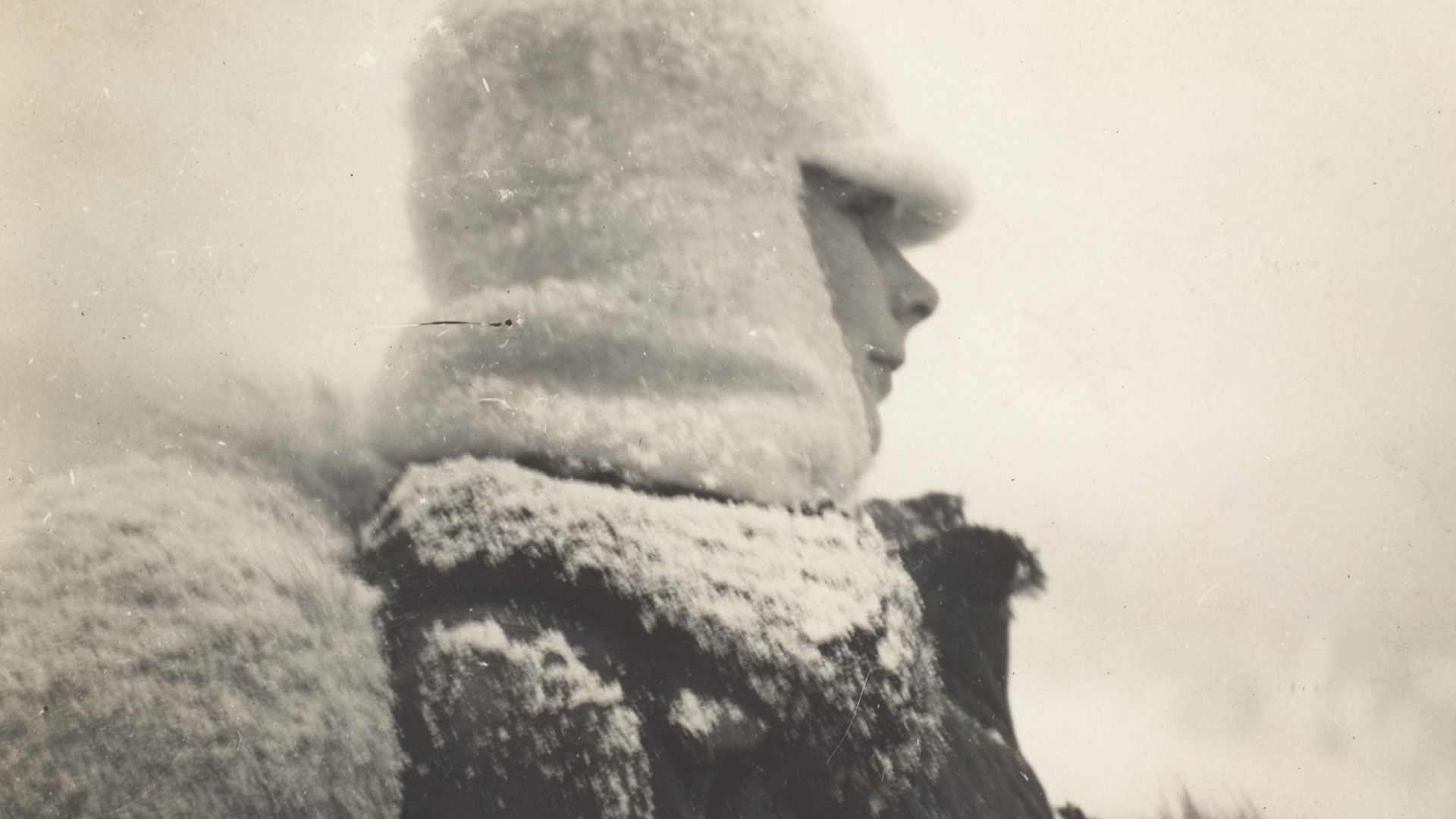 Photograph; Photographs