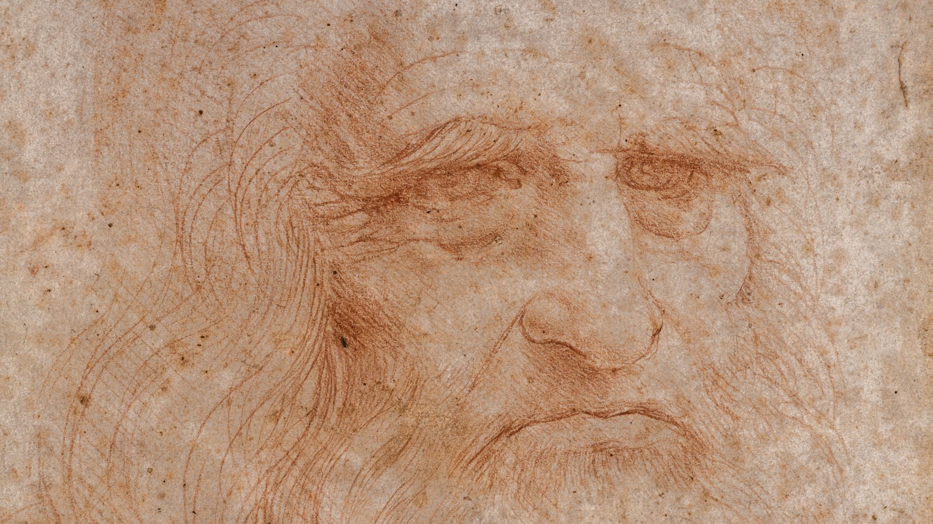 File:Leonardo da Vinci - presumed self-portrait - lossless.png