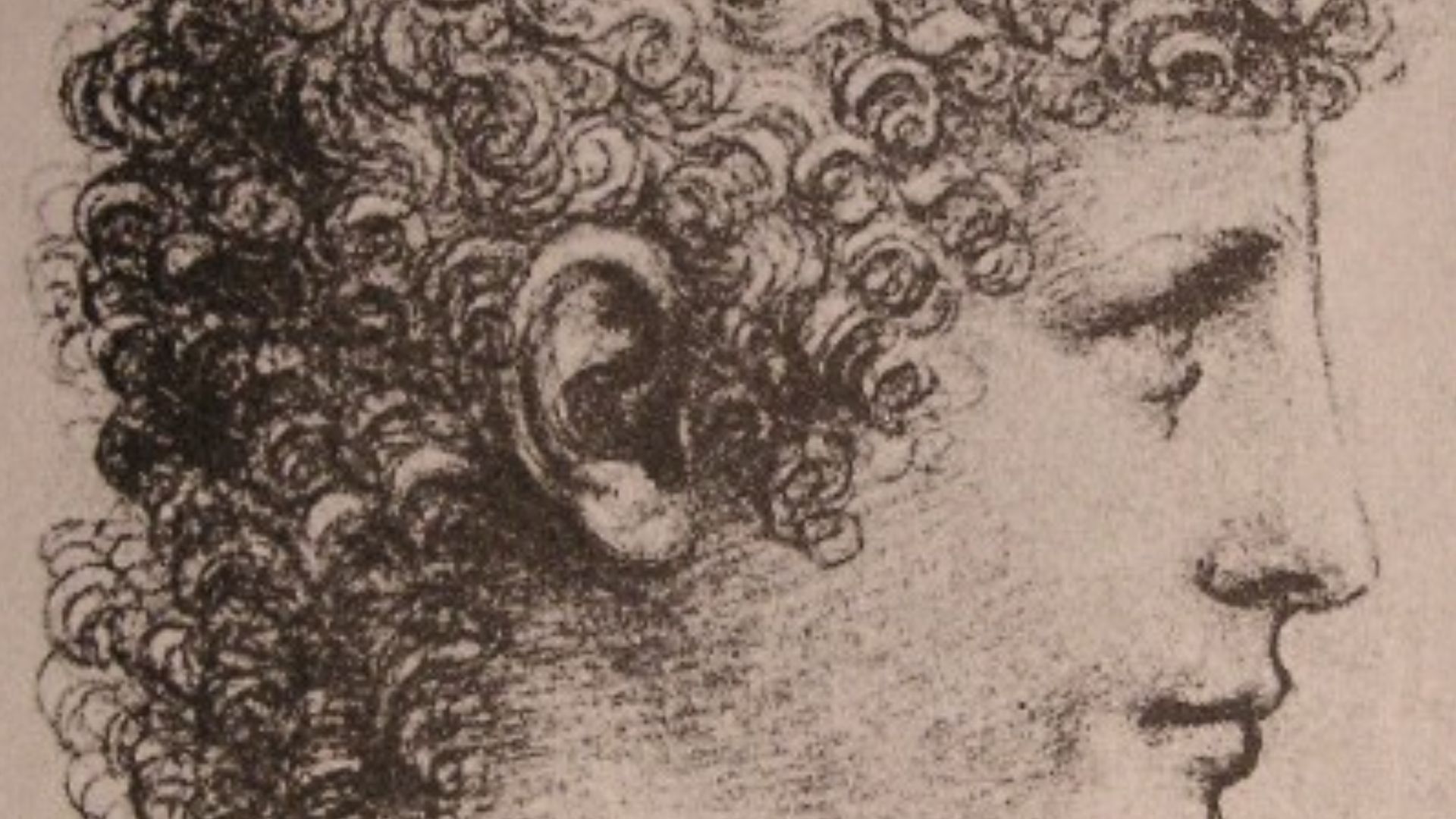 Testa di giovane in profilo