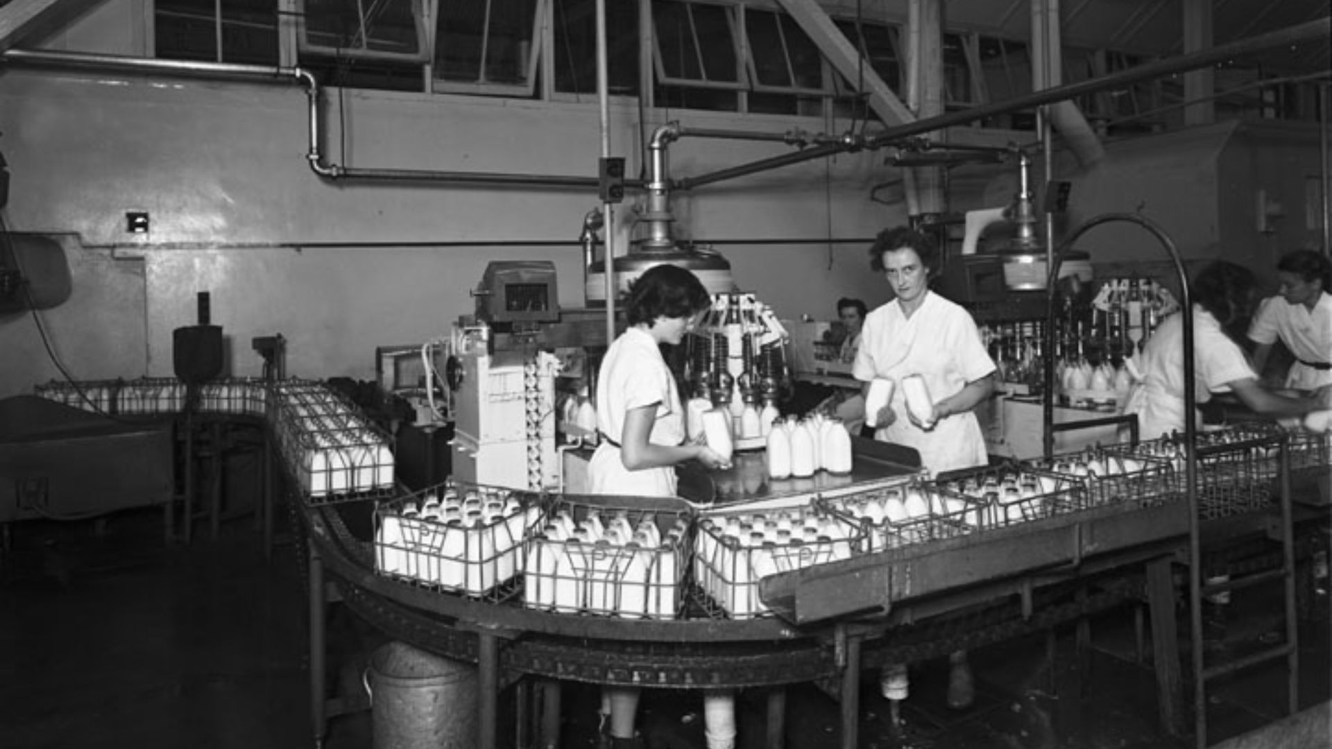 Milk pasteurising equipment Peters and Pauls factories, Brisbane.