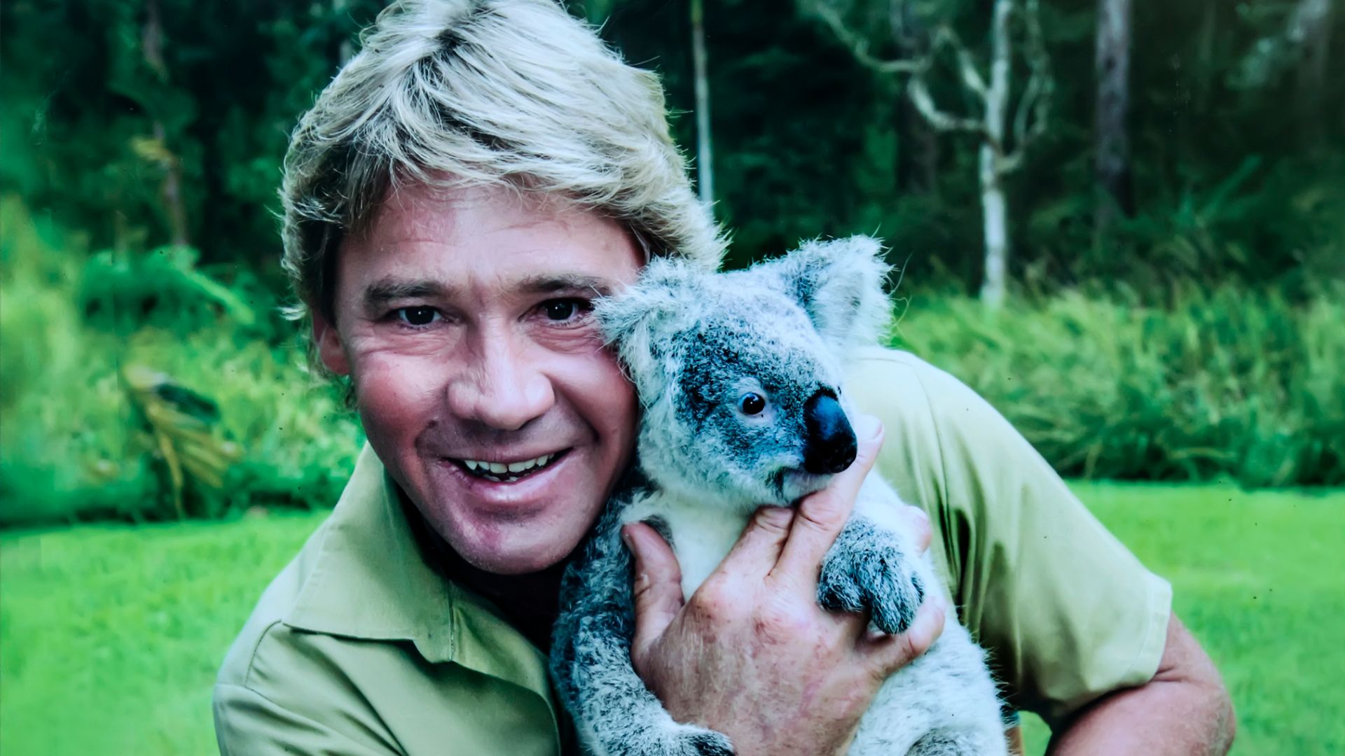 Steve Irwin holding a Koala at the zoo in Australia.