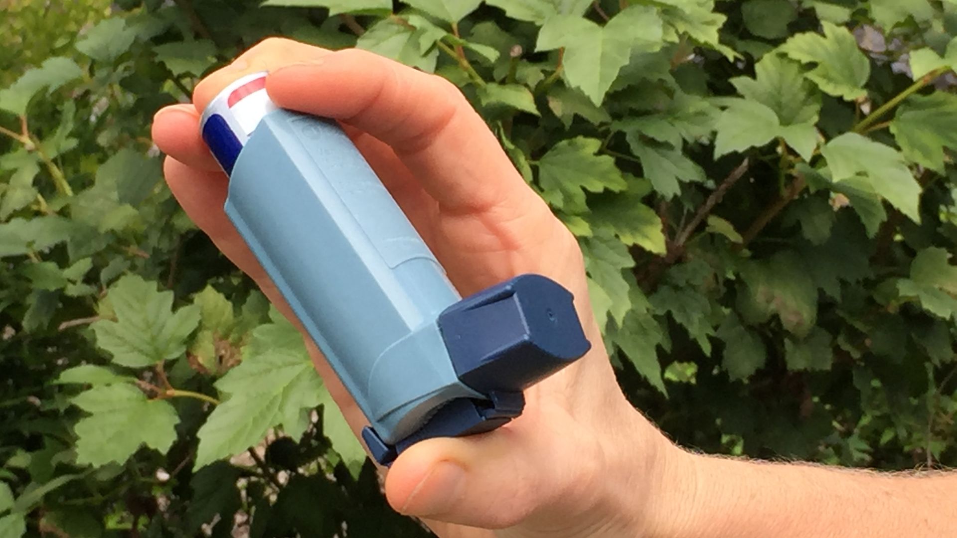 Person holding an asthma inhaler. Credit: NIAID
