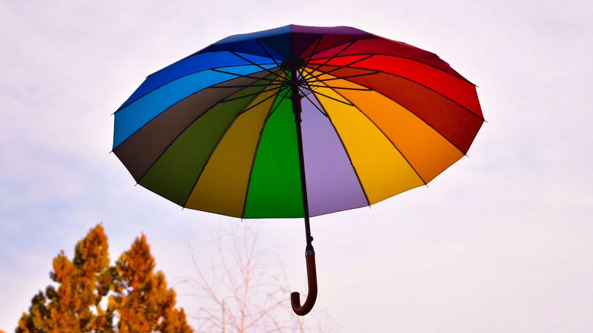 blue yellow and red umbrella
