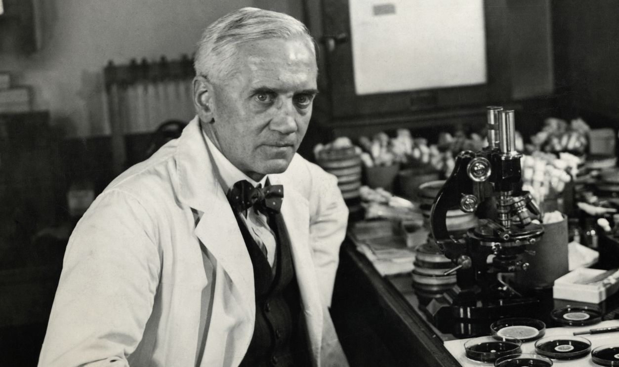Alexander Fleming (1881-1955) Scottish bacteriologist, working in his laboratory on the development of penicillin. 