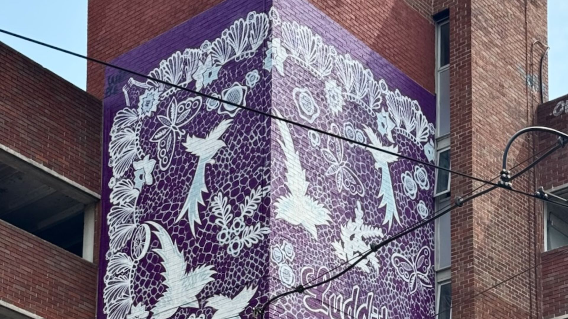 Luddite Lace