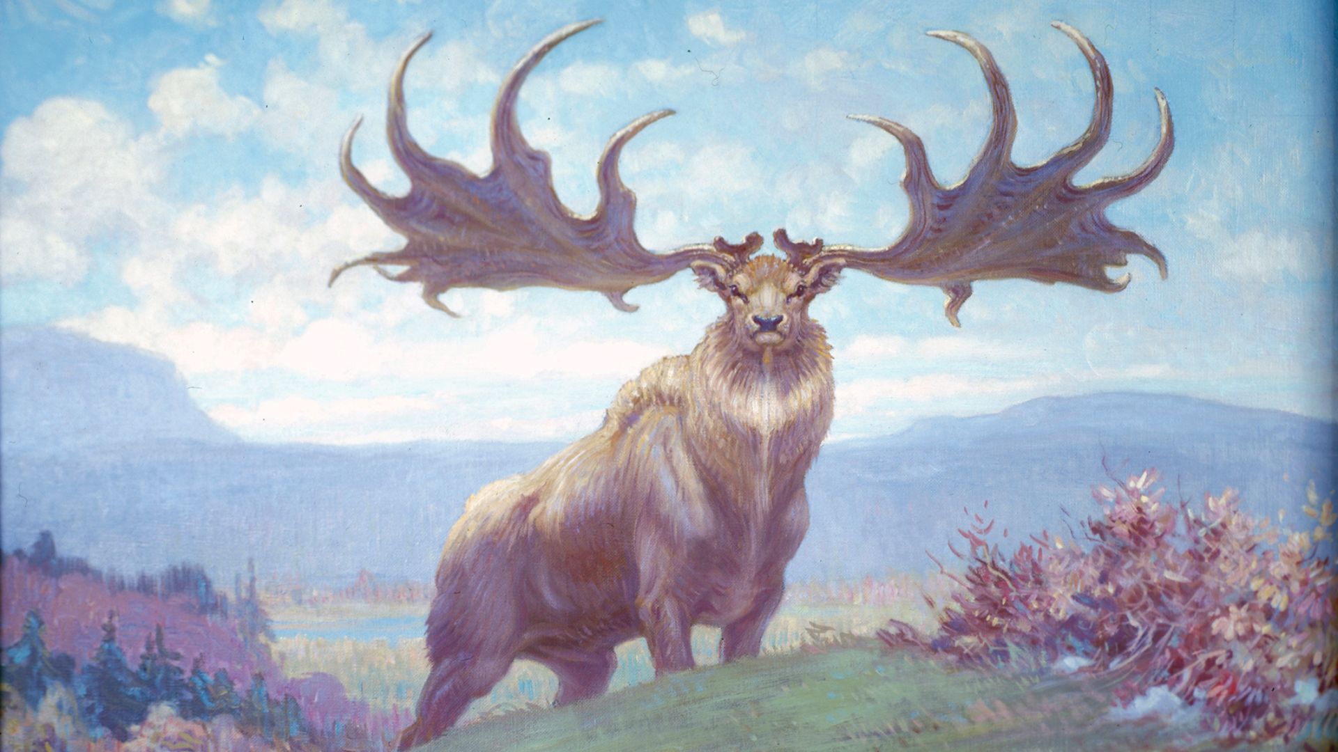 Megaloceros giganteus, the Irish elk.