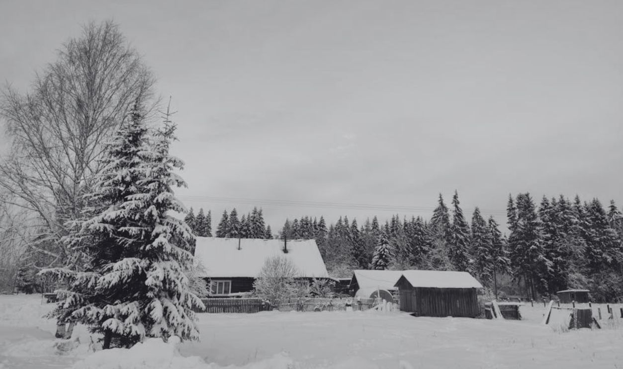 Charming winter landscape of snow-covered houses and trees in Topalki, Russia