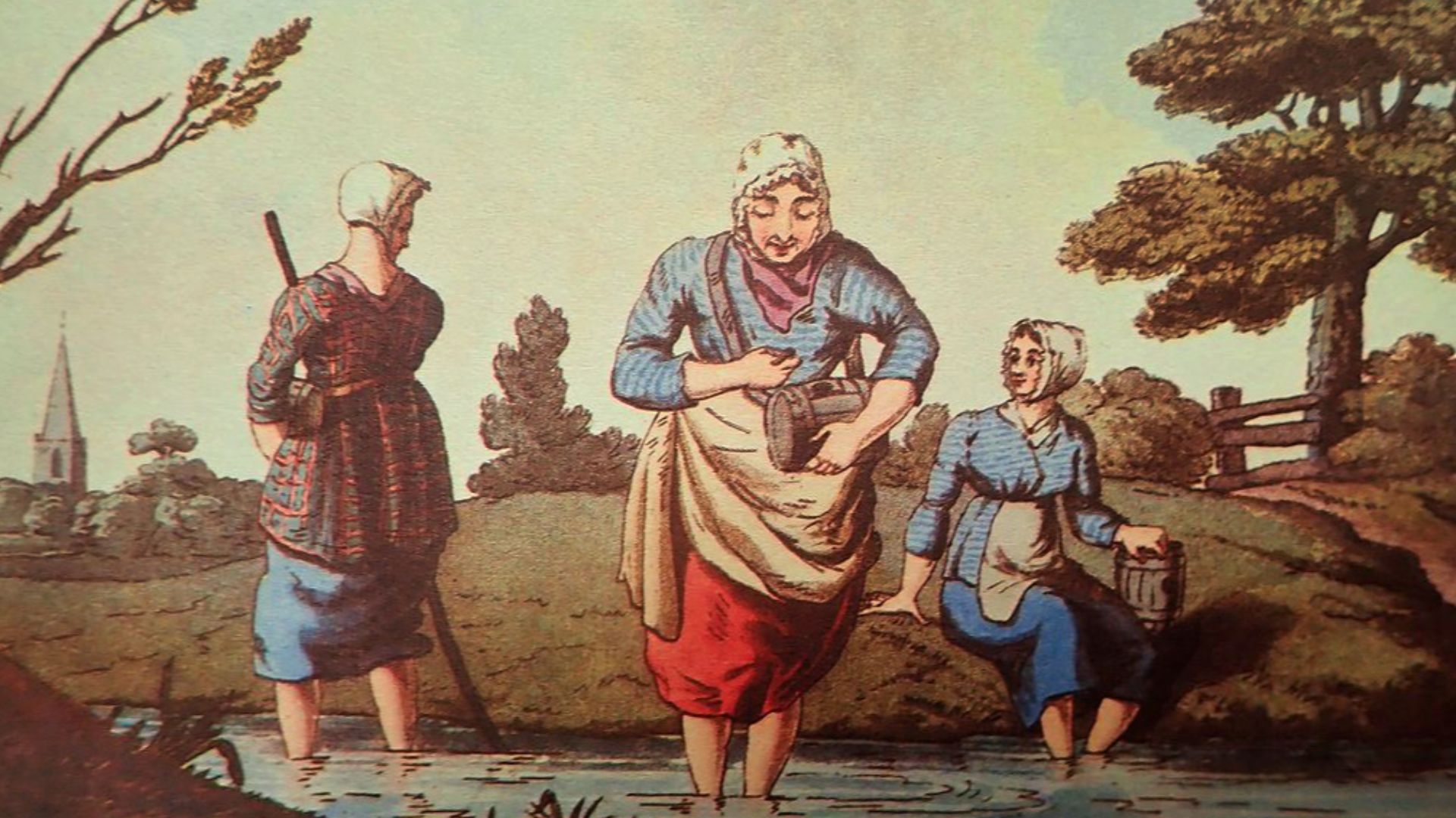 Both doctors and quacks used the blood-sucking creatures to treat a number of ailments, ranging from headaches to