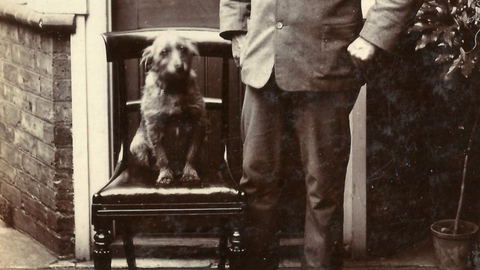 Is this John Hook again, but with a much larger moustache?
This is the first appearance of a doorway, assumed to be at the back of a Victorian house, that will be seen in several other pictures later in this album.


See more images from this fascinating 