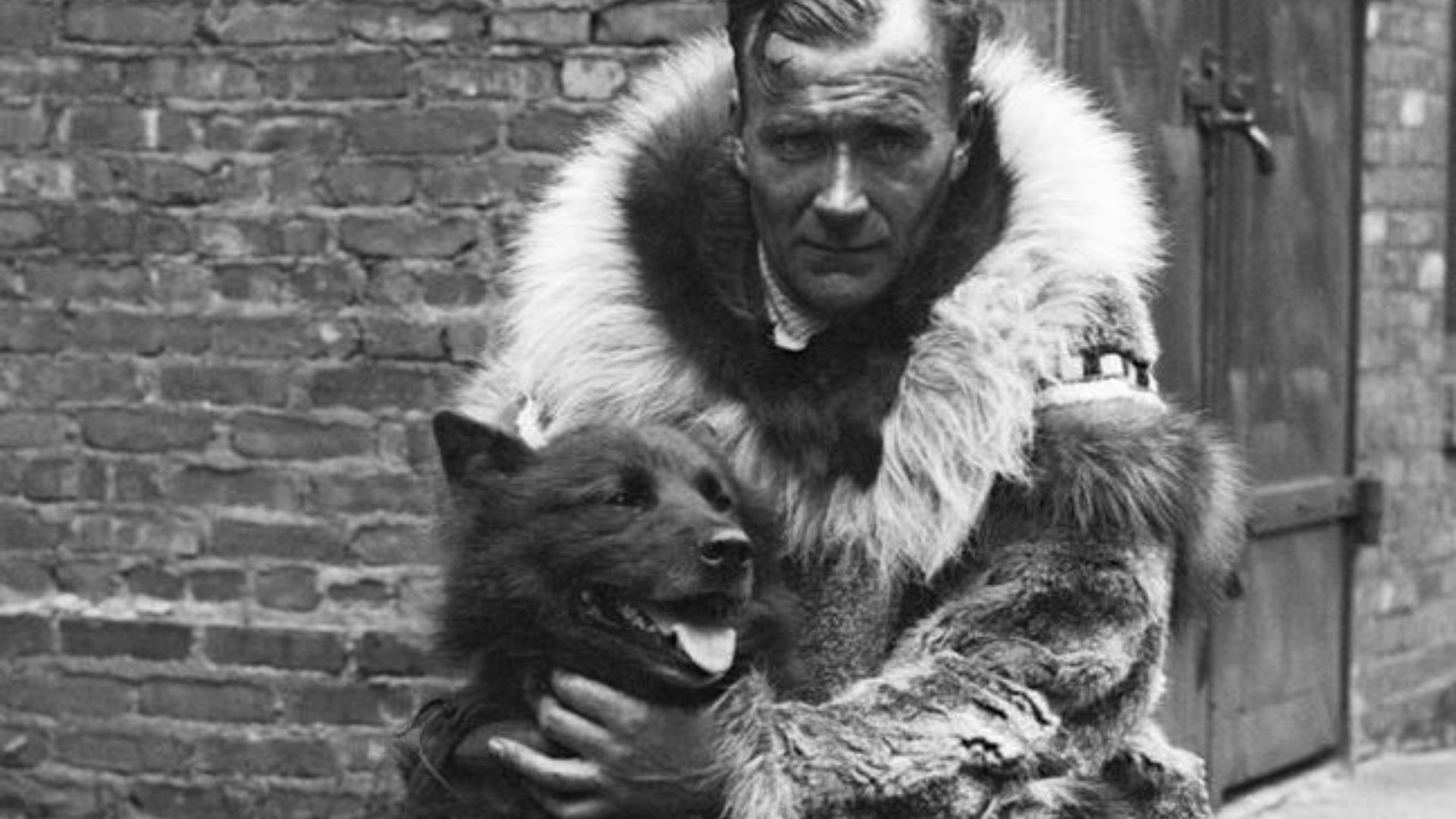 Celebrated sled dog Balto with Gunnar Kaasen. Norwegian immigrant Gunnar Kaasen was the musher on the last dog team that successfully delivered diphtheria antitoxin to Nome, Alaska in 1925. Balto was the lead dog for that final leg of 53 miles of the tota