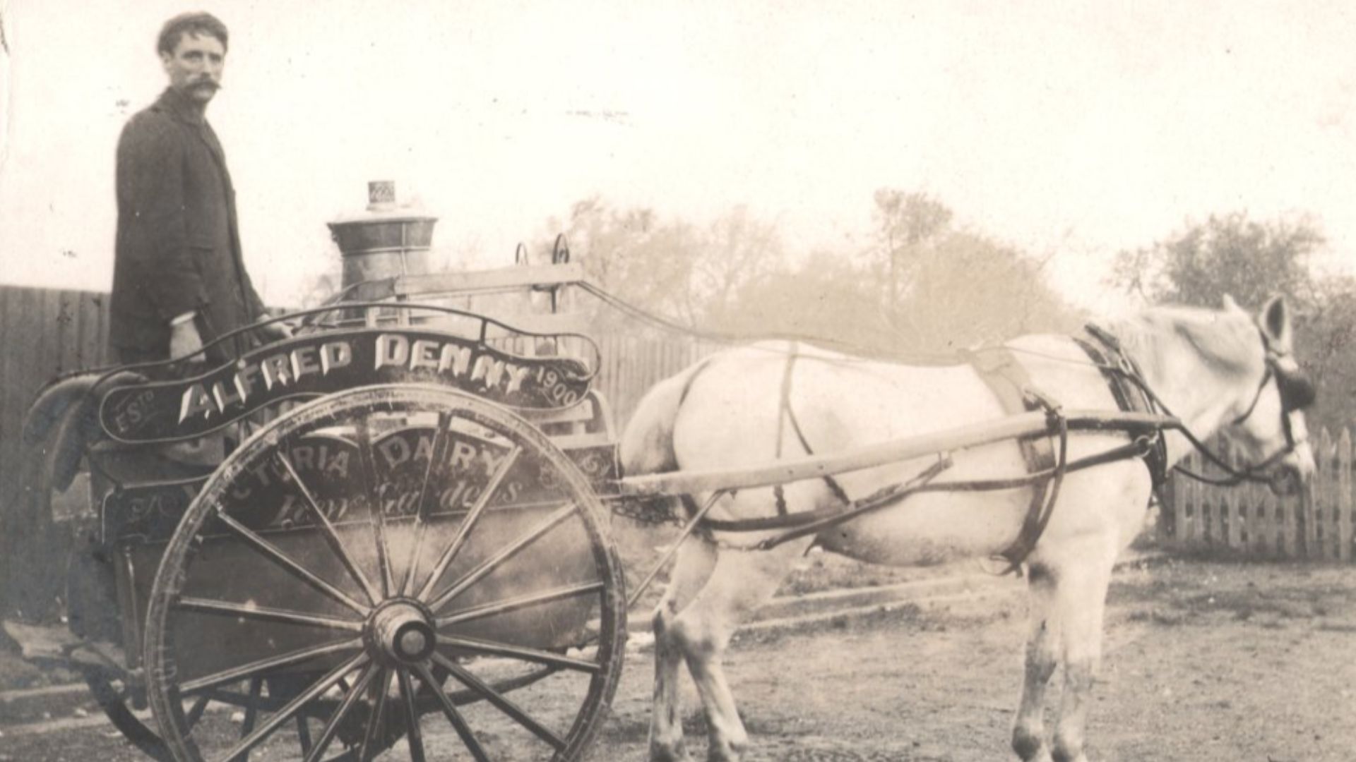 What a gorgeous piece of social history - a 100+-year-old image of a milkman on his horse-drawn cart.  The cart has his name, the dairy, and the location, so I'm confident we'll be able to find out a lot more of the story behind this.
I estimate the image
