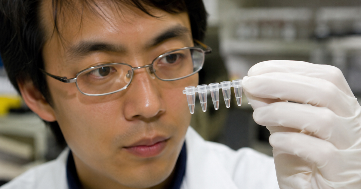 Scientist looking closely at DNA sample