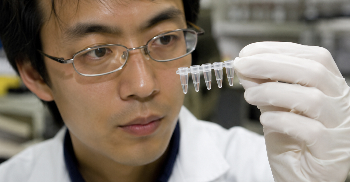 Scientist looking closely at DNA sample