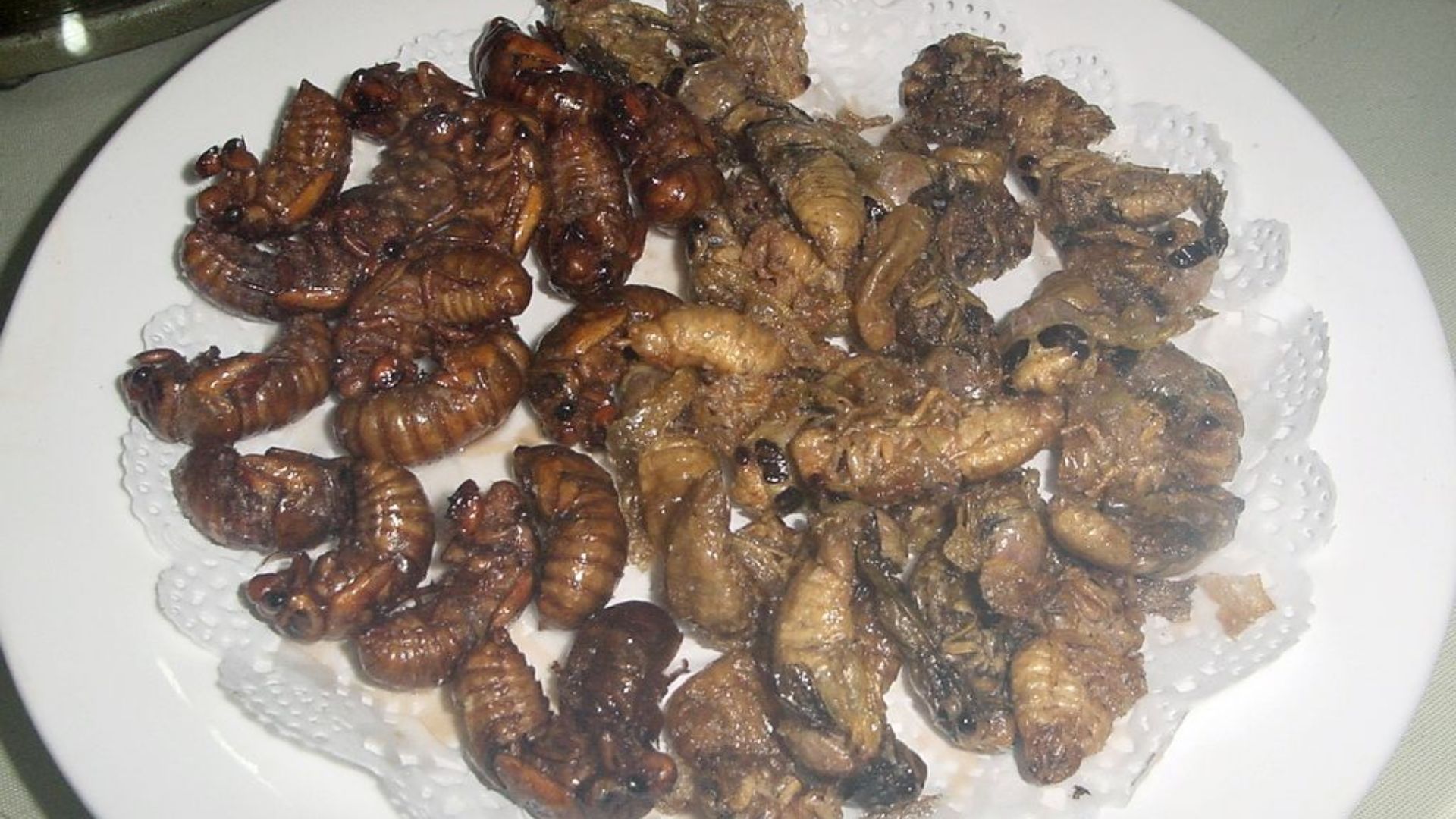 Deep fried two different stage of cicada，Cryptotympana atrata，at a restaurant in Weifang, Shandong, China