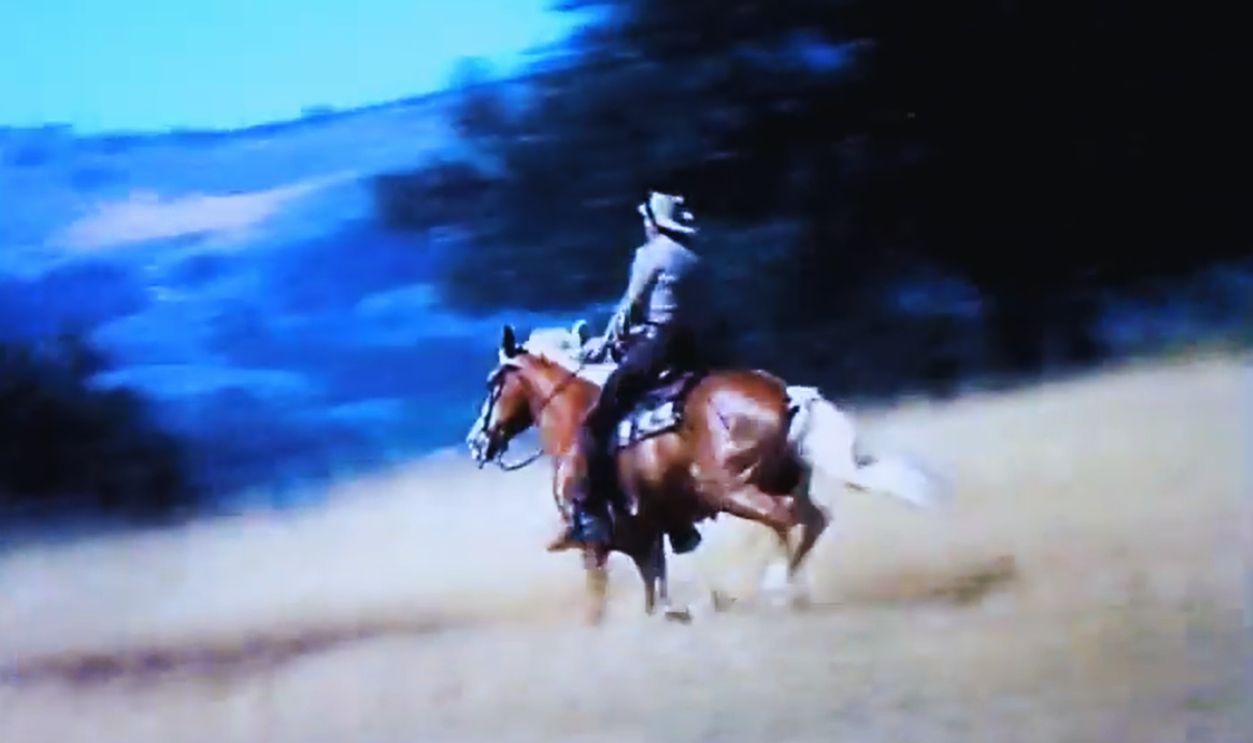 Screenshot from Tall Man Riding (1955) 