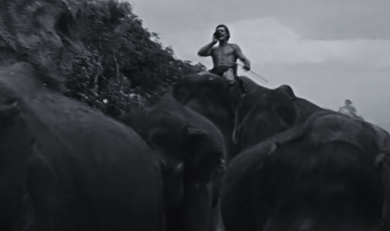 Screenshot from Tarzan Goes to India (1962) 