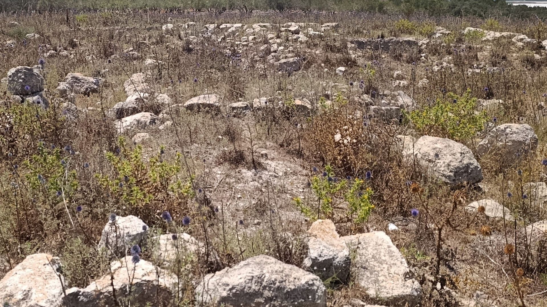 Name: Tel KishonDescription: Tel Kishon is one of the most important sites in the Acre Valley. The tell overlooks and dominates the entire Zebulun Valley, the tell's area is about 20 dunams, and it was inhabited from the early Neolithic period to the Otto