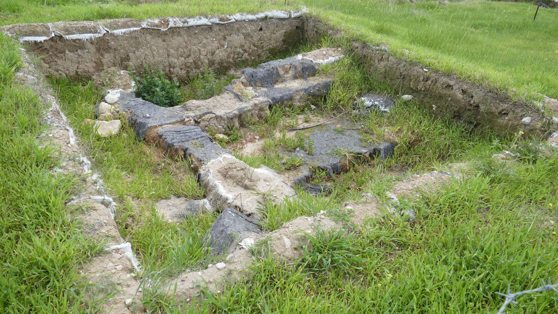 Tel Erani, near Kiryat Gat, Israel.