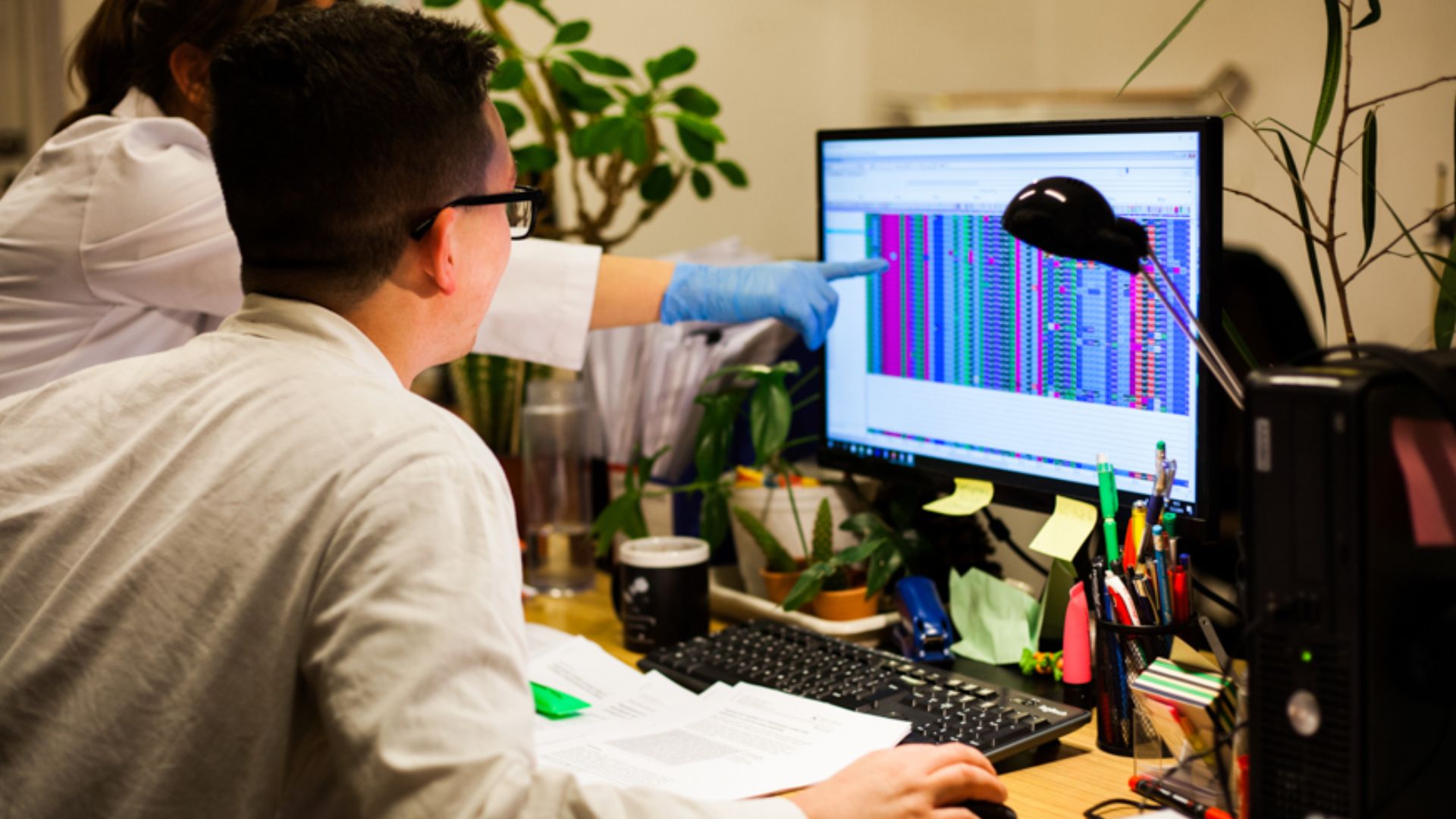 Scientists in the processing of DNA sequences. Institute of Systematics and Evolution of Animals Polish Academy of Sciences in Cracov