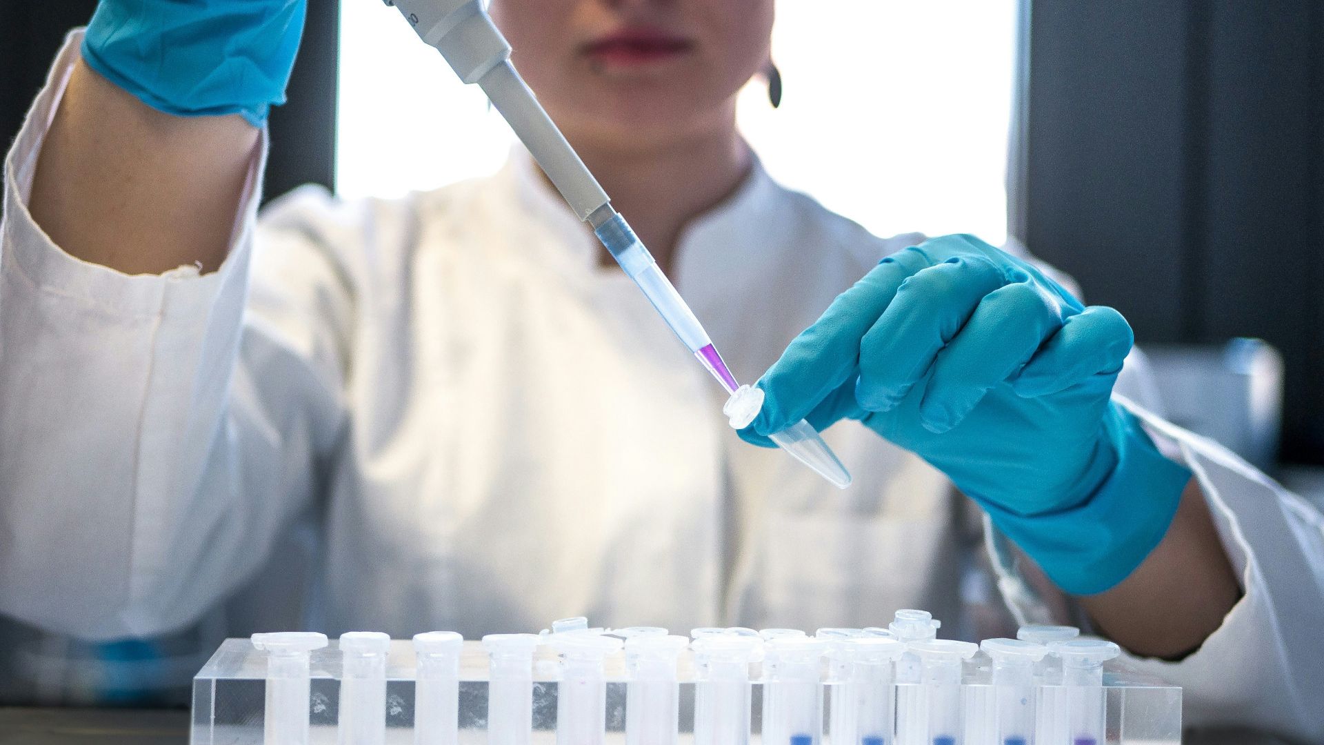 scientist using pipette with test tubes in lab