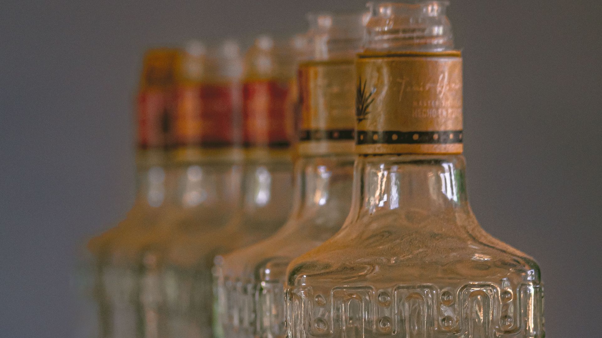 Row of vintage glass bottles on wooden surface, embodying rustic charm and history.