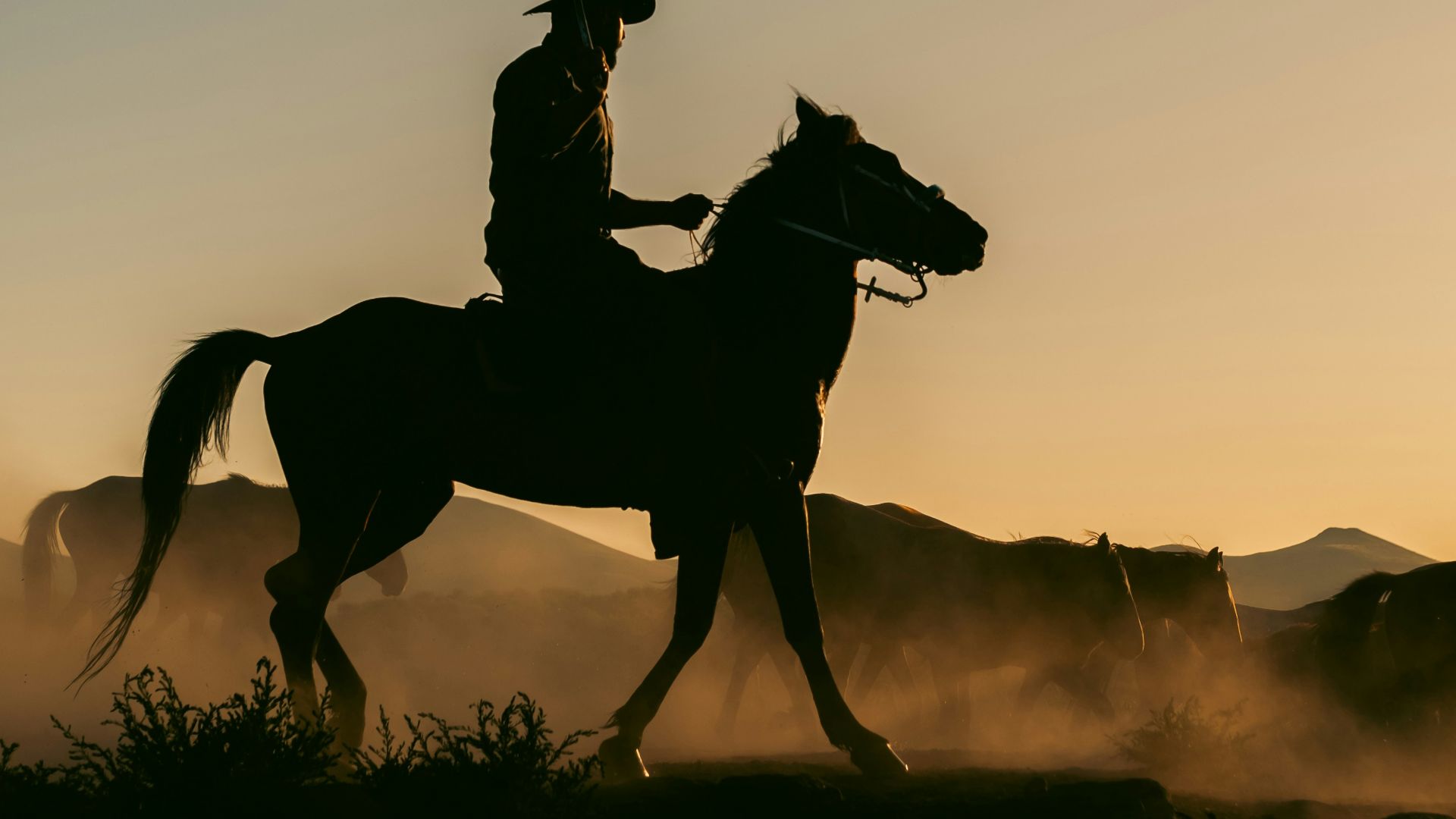 A group of people riding on the backs of horses