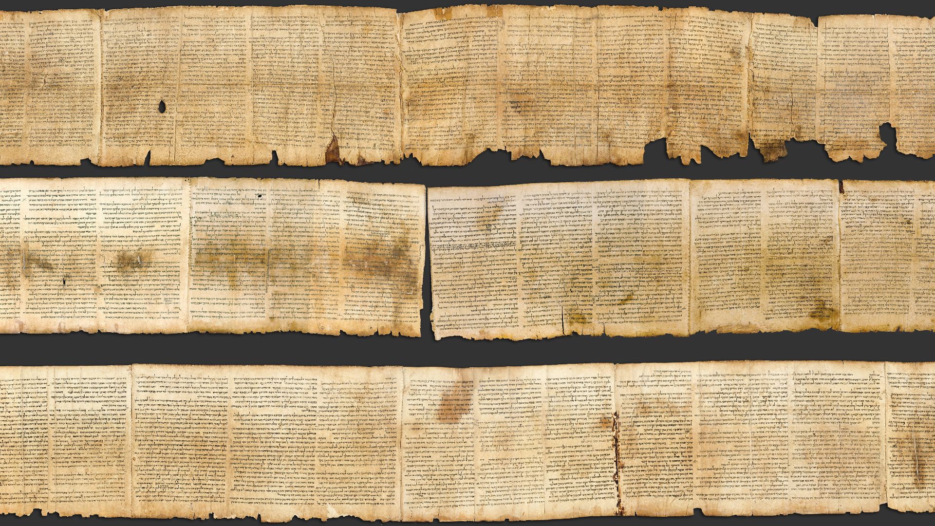 Photographic reproduction of the Great Isaiah Scroll, the best preserved of the biblical scrolls found at Qumran. It contains the entire Book of Isaiah in Hebrew, apart from some small damaged parts. This manuscript was probably written by a scribe of the