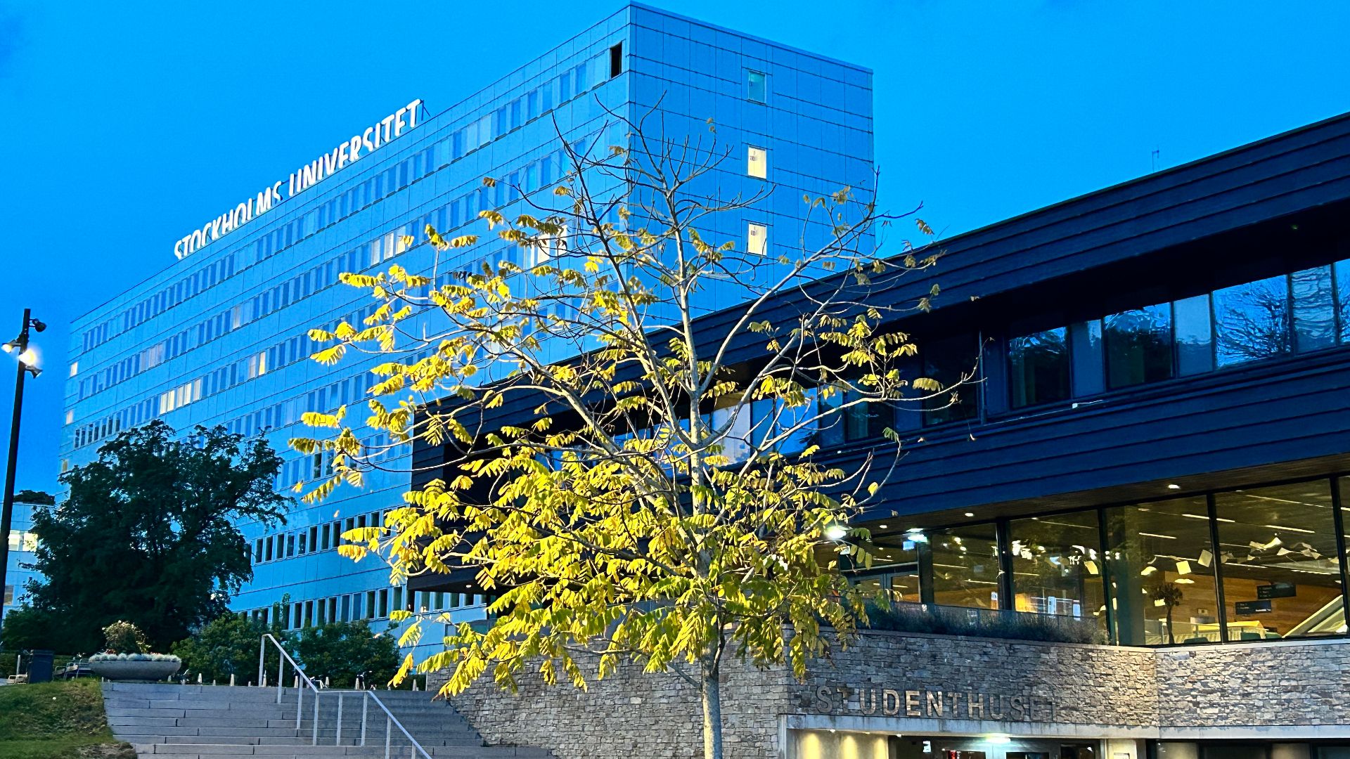 Stockholm University's Frescati campus in October 2023