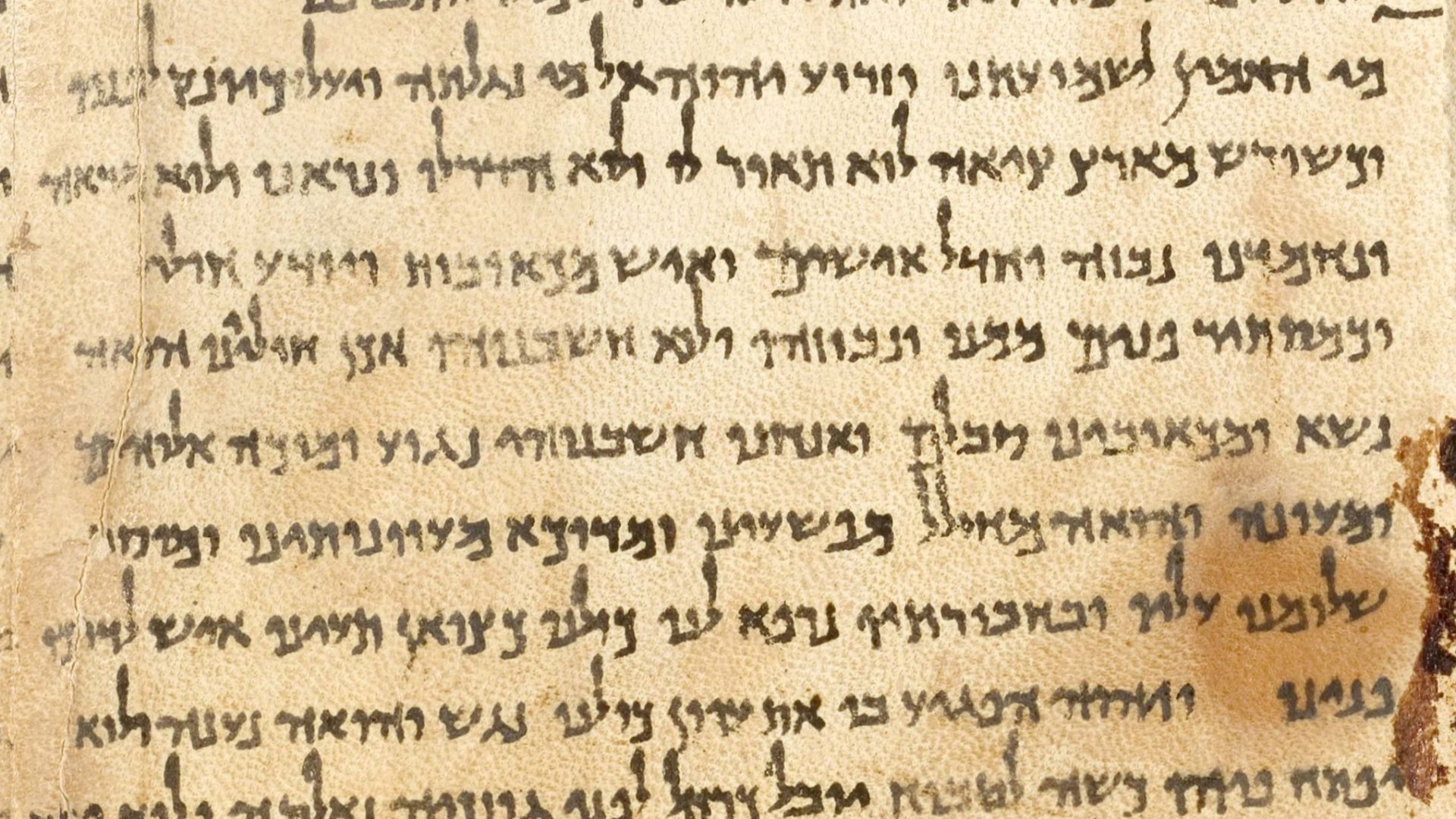 Portion of a photographic reproduction of the Great Isaiah Scroll, the best preserved of the biblical scrolls found at Qumran. It contains the entire Book of Isaiah in Hebrew, apart from some small damaged parts. This manuscript was probably written by a 