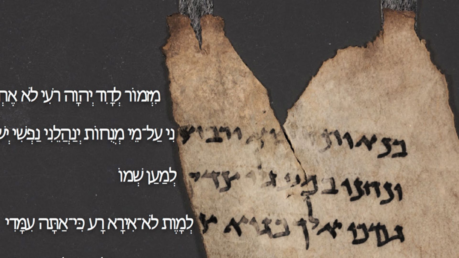 Dead Sea Scroll fragment 5/6HEV PS with Psalm 23.