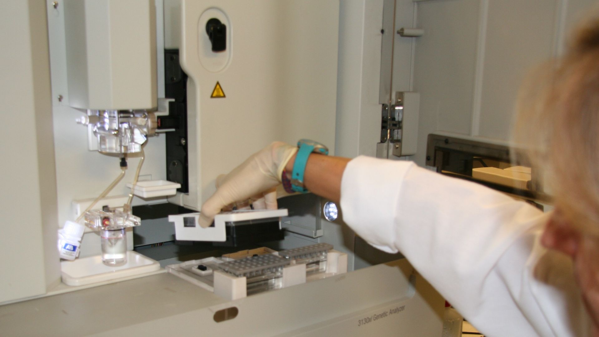 CDFW Environmental Scientist Erin Meredith checks DNA samples from a mountain lion, September 2014.