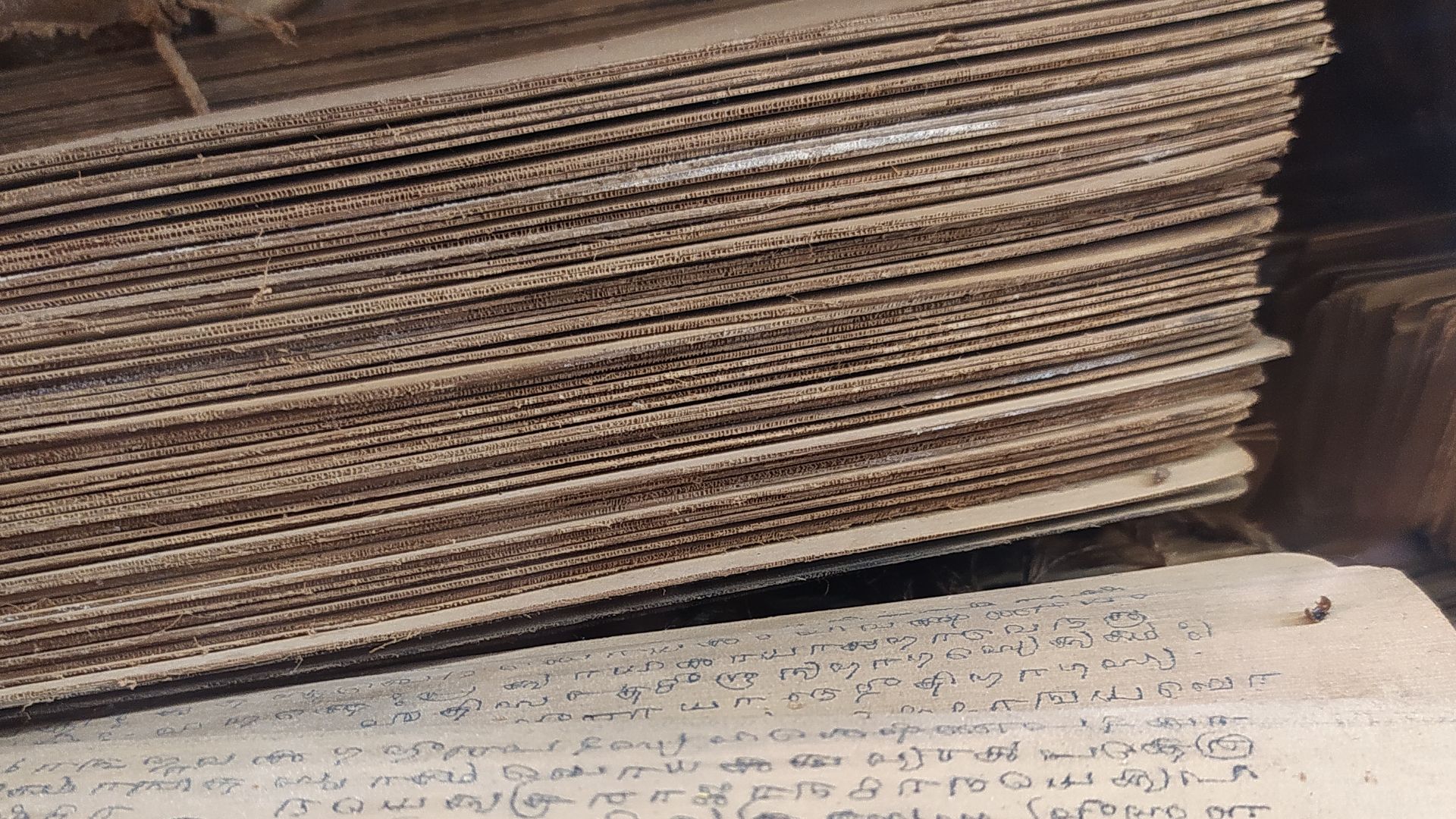 There are many more manuscripts which are discovered or waiting to be discovered. Many can't be translated, so no one knows what all information could be written in them and how much benefits we can derive from them.