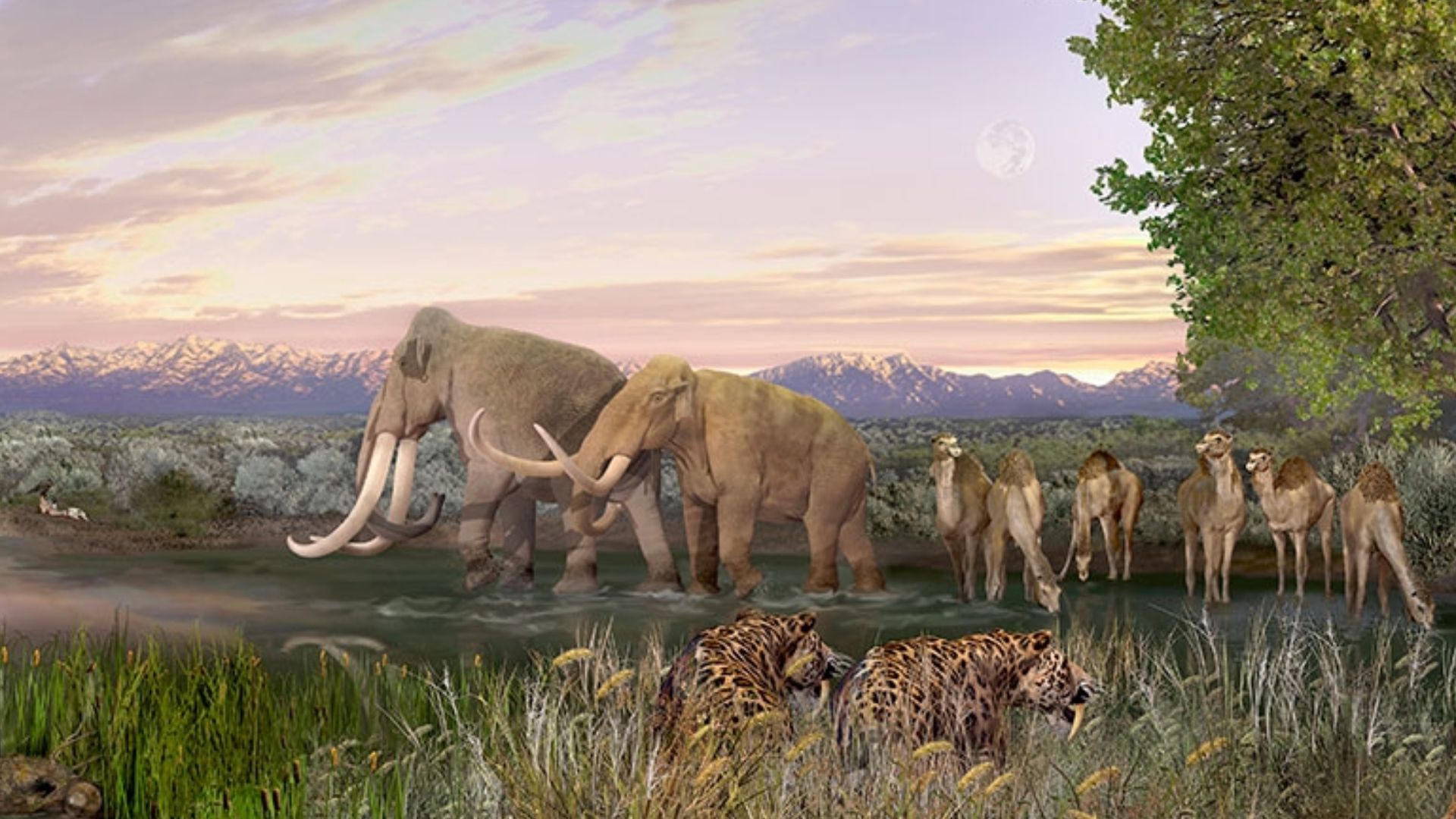 Paleontological landscape painting, White Sands National Park, United States, featuring six species of extinct Ice Age mammals - Columbian mammoths, a Harlan's ground sloth (left background), dire wolves (left foreground), American lions (center/left back