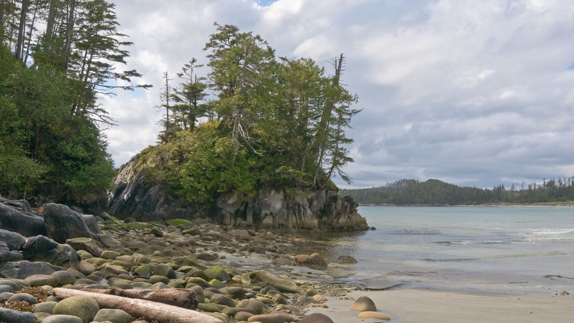 Shore of Calvert Island, British Columbia Coast, Canada