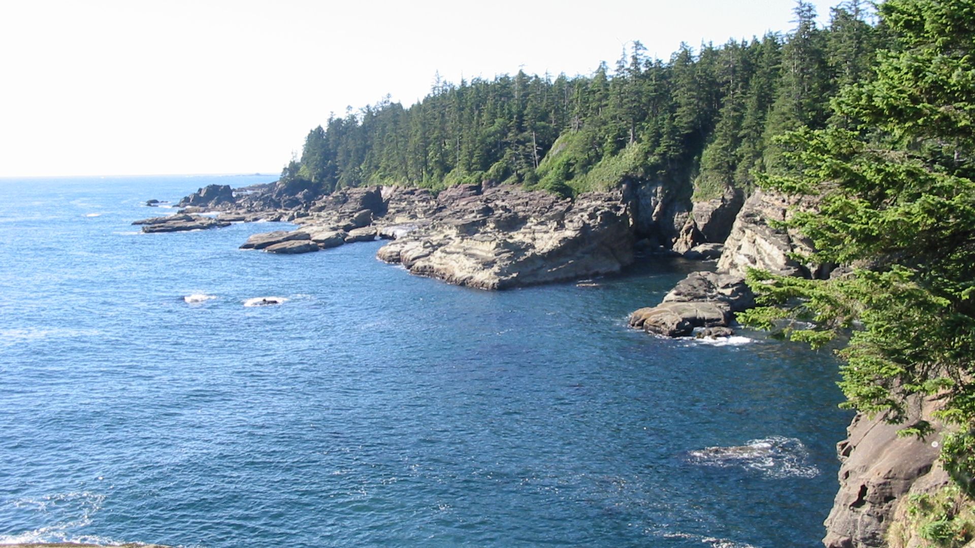 Another picture I took of the West Coast Trail.