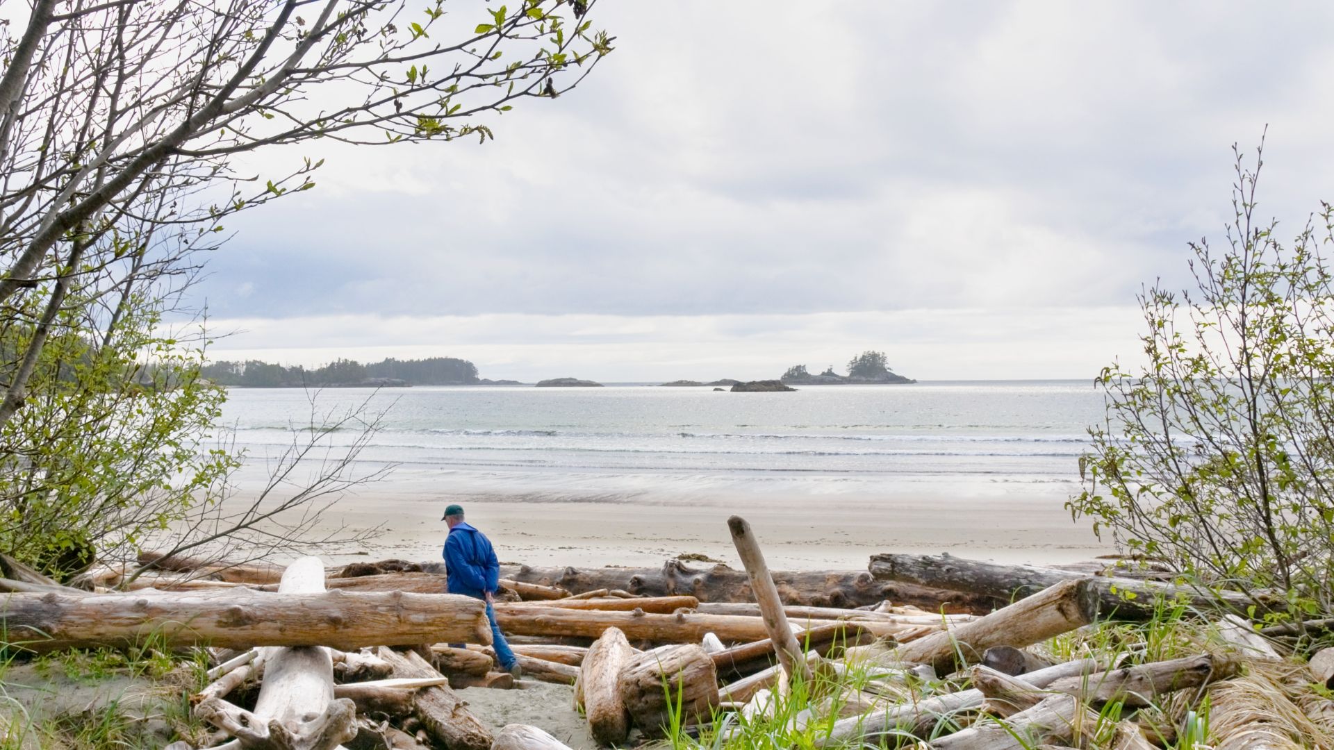 When you're cruising the Inside Passage along BC's central and northern coast, land occupies a surprising amount of the 360-degree horizon.   
It's only when you visit the west side of barrier islands such as Calvert Island that you see open ocean that st