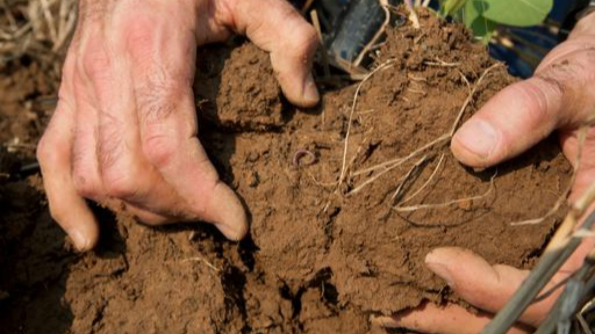 An NRCS employee takes a soil sample on a farm that has incorporated many conservation practices to protect and enhance natural resources (Charles City, Va.).
Photo courtesy of USDA Natural Resources Conservation Service