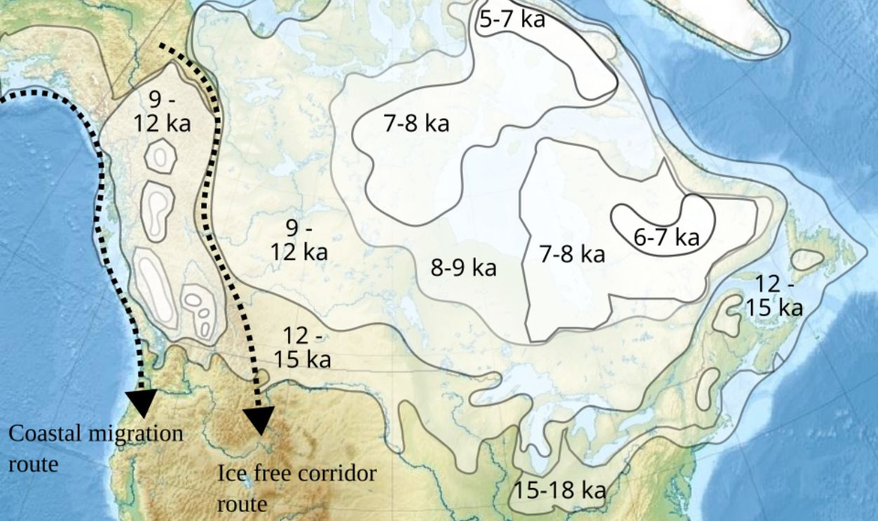 Ice free corridor and coastal migration 