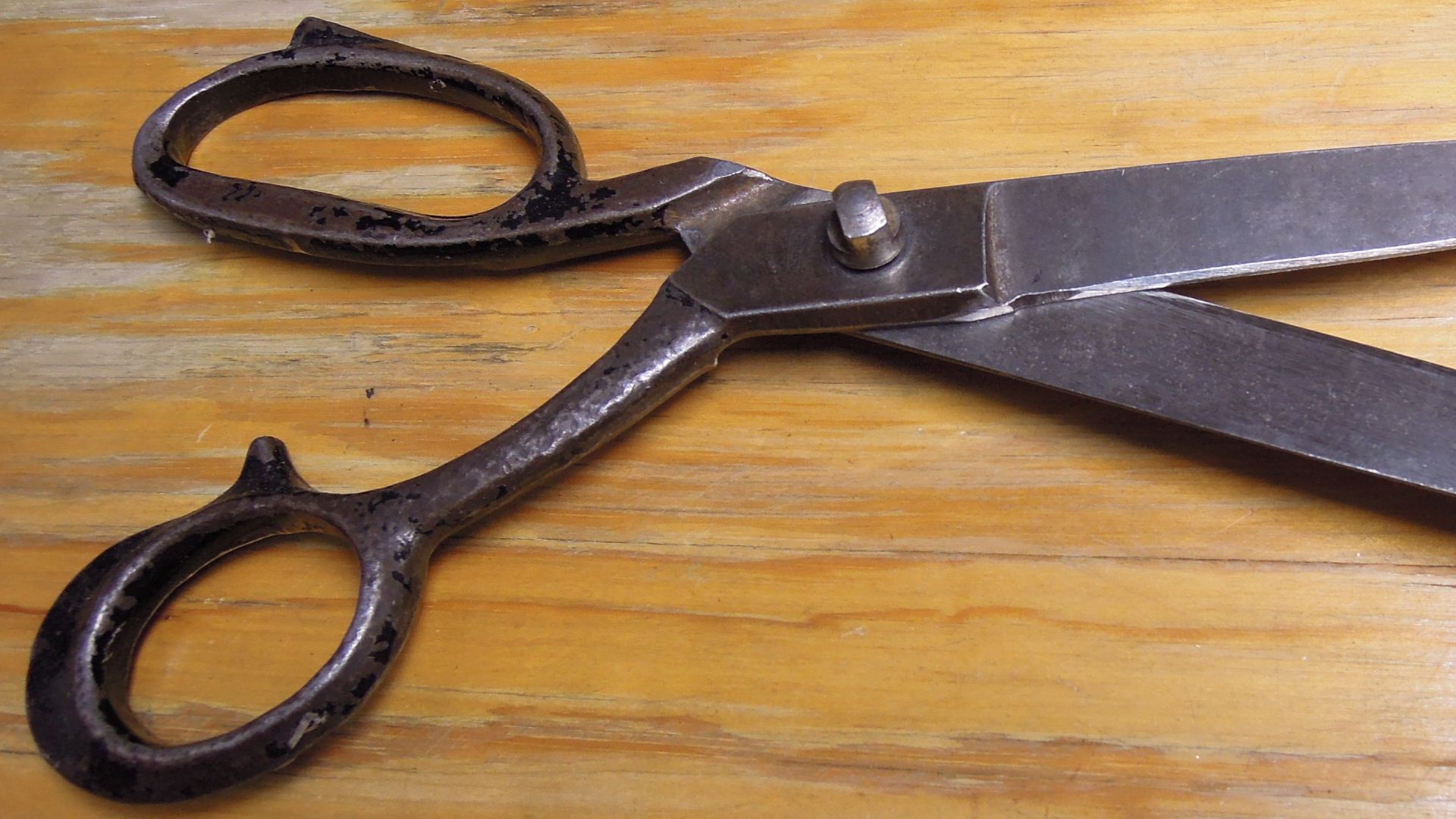 Shoemakers scissors.