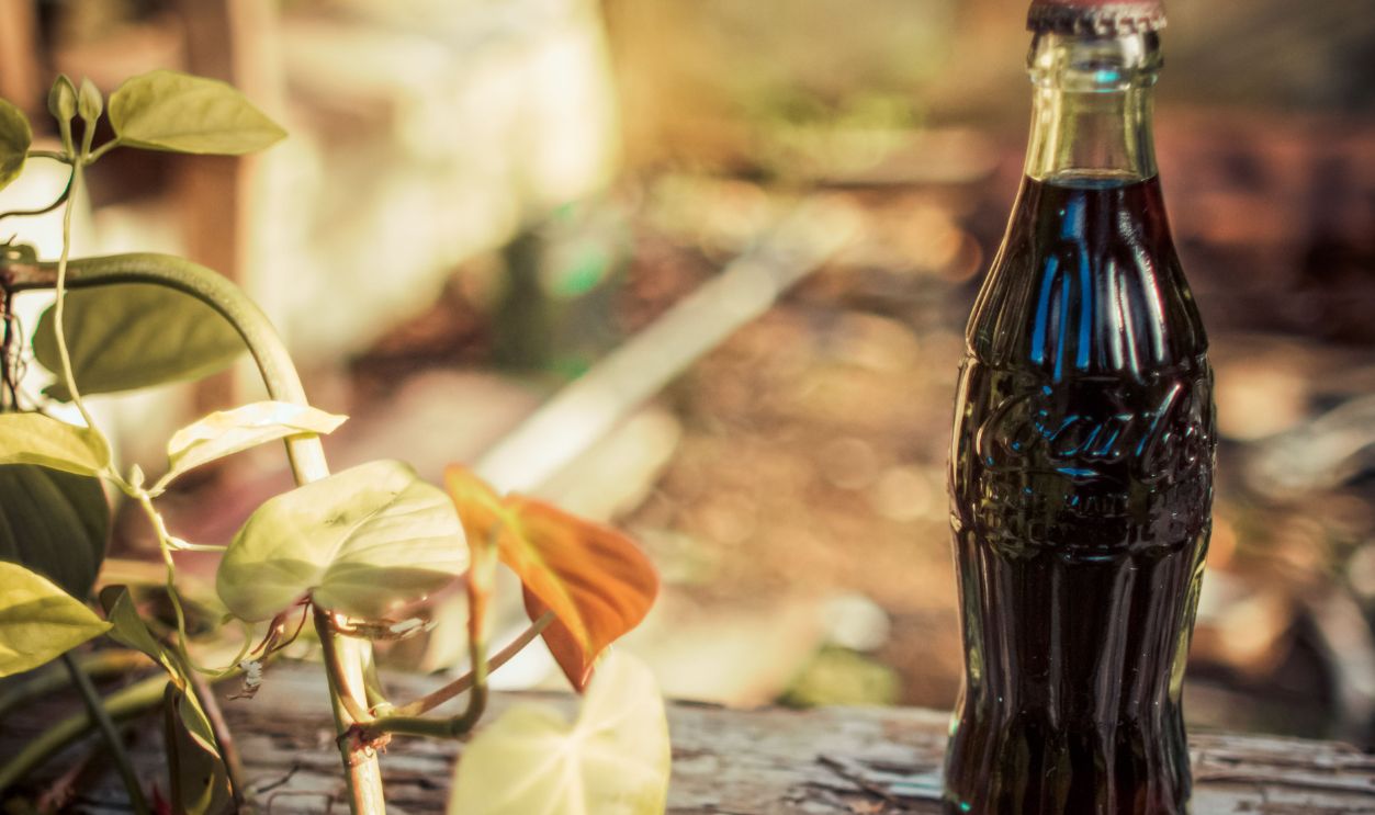A vintage cola bottle on a rustic wooden surface with vibrant green leaves and soft sunlight